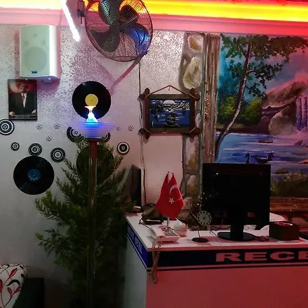 Bed and Breakfast Parliament *